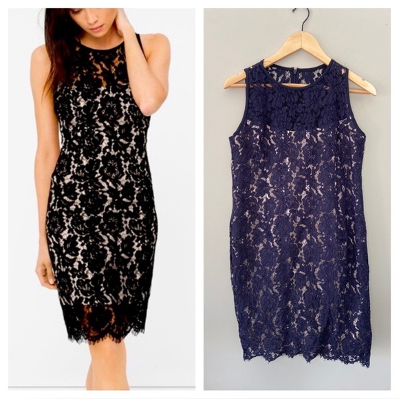 White House/Black Market Navy Blue Lace Mesh Overlay Sheath Lay Below Knee Dress - Picture 1 of 8